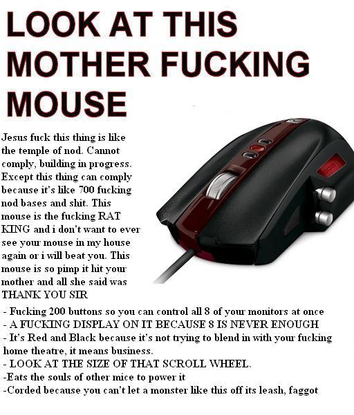 mouse.jpg